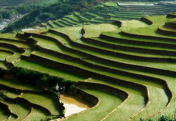 The eye of rice paddies; Black Hmong, Vietnam; NaPix, Flickr